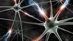 neurones-synapses_8-400x225
